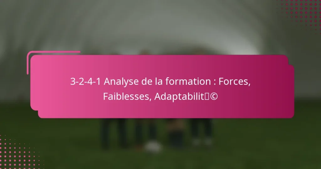 3-2-4-1 Analyse de la formation : Forces, Faiblesses, Adaptabilité