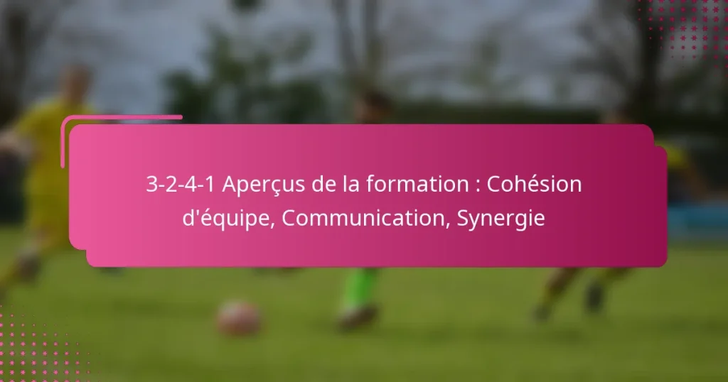 3-2-4-1 Aperçus de la formation : Cohésion d’équipe, Communication, Synergie