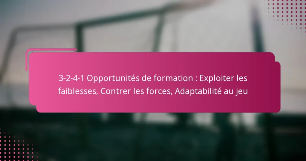 3-2-4-1 Opportunités de formation : Exploiter les faiblesses, Contrer les forces, Adaptabilité au jeu
