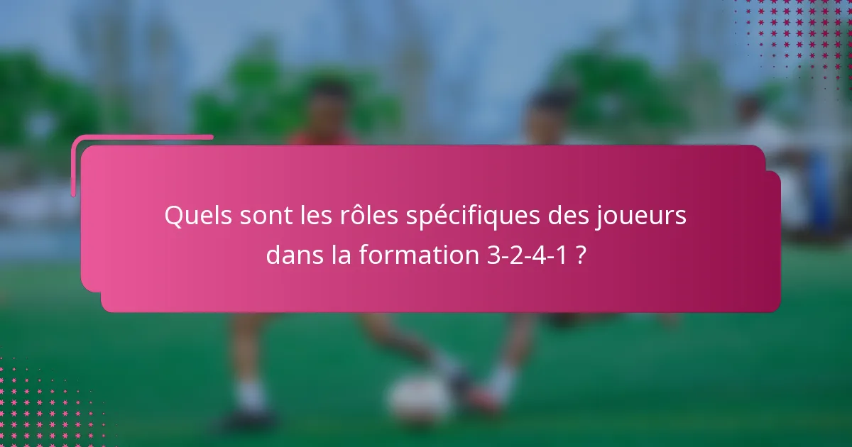 Quels sont les rôles spécifiques des joueurs dans la formation 3-2-4-1 ?